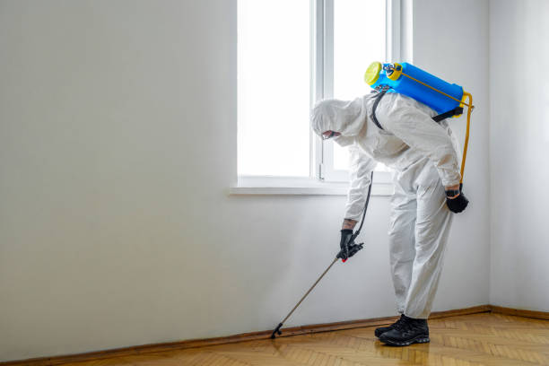Best Bed Bug Extermination  in Hurt, VA