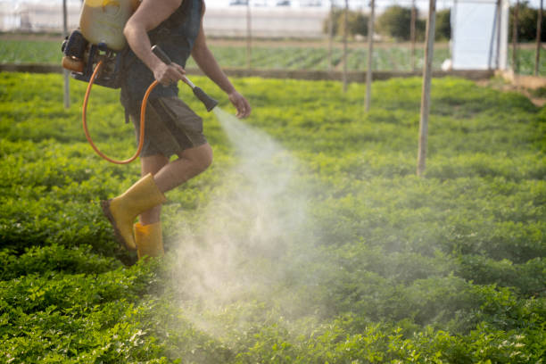 Best Pest Control for Homes  in Hurt, VA