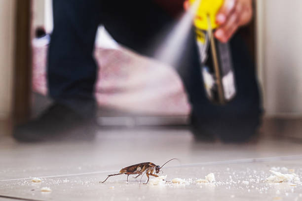 Best Termite Control Services  in Hurt, VA