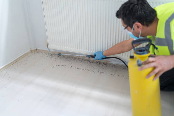 Best Pest Control for Homes  in Hurt, VA